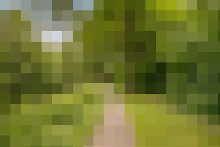 Schaapherder 17 Leusden thumbnail 47