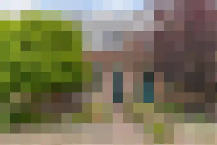 Schaapherder 17 Leusden thumbnail 52