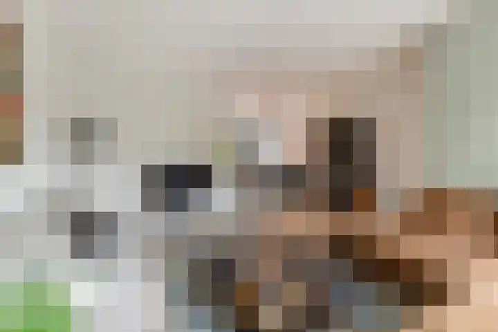 Schaapherder 17 Leusden thumbnail 6