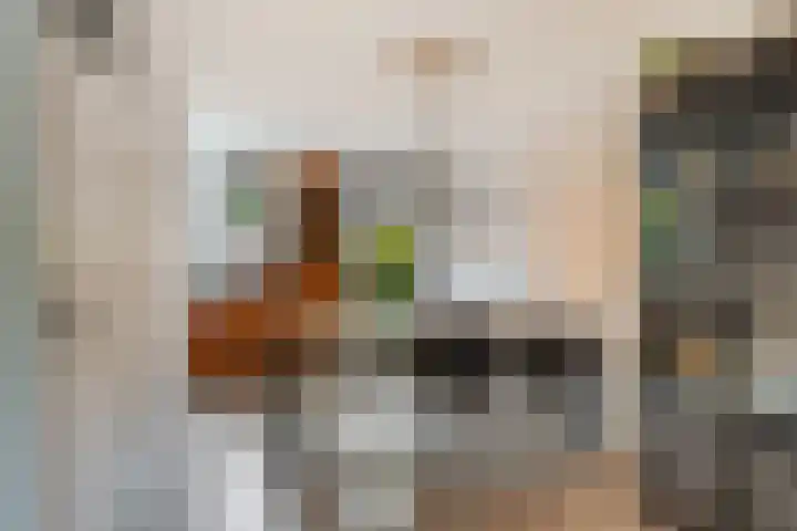 Schaapherder 17 Leusden thumbnail 8