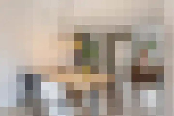 Schaapherder 17 Leusden thumbnail 9