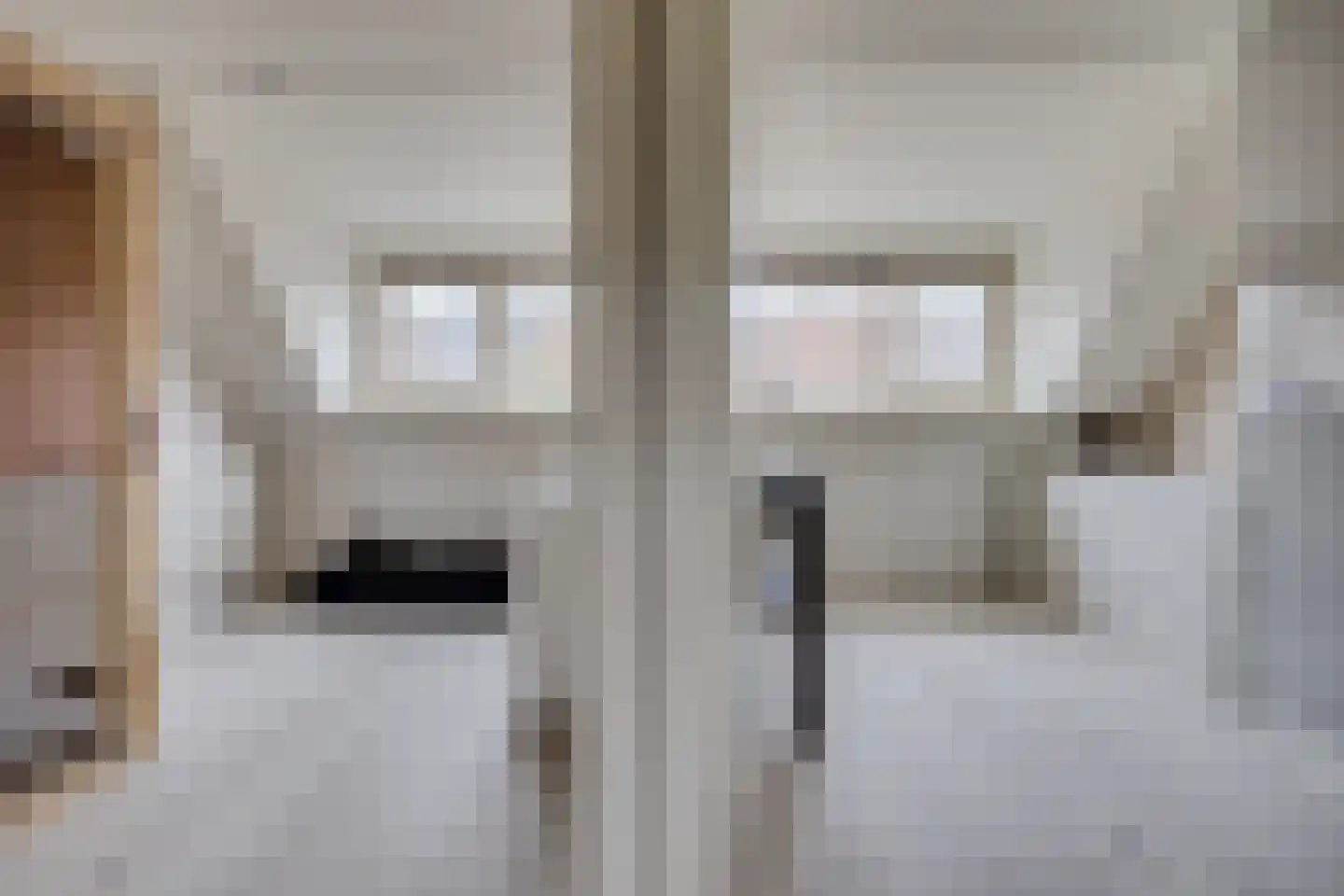 Schaapherder 7 Leusden thumbnail 13