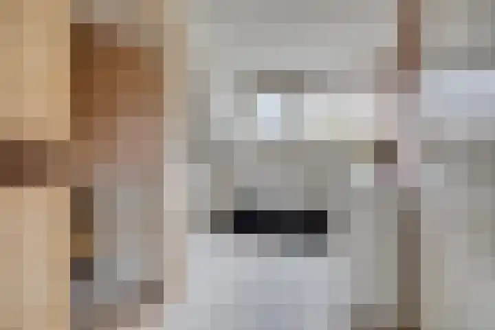 Schaapherder 7 Leusden thumbnail 13