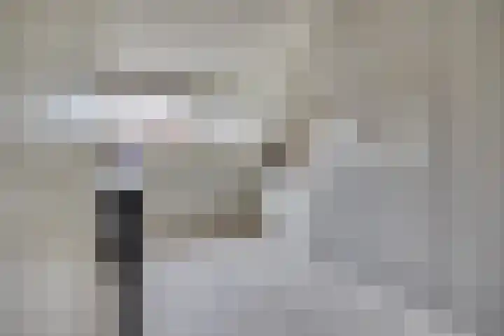 Schaapherder 7 Leusden thumbnail 15