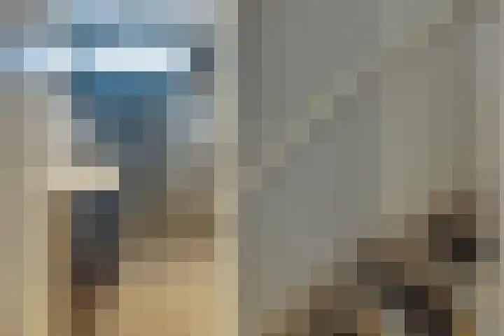 Schaapherder 7 Leusden thumbnail 19