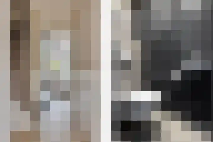 Schaapherder 7 Leusden foto 2