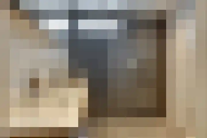 Schaapherder 7 Leusden thumbnail 20