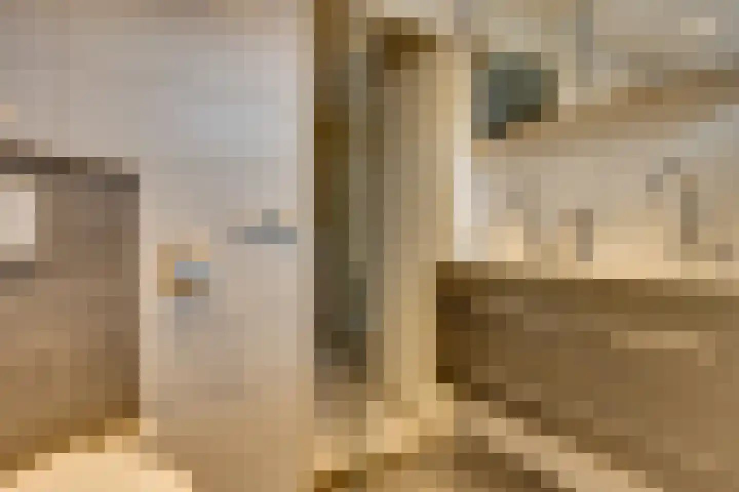 Schaapherder 7 Leusden thumbnail 22