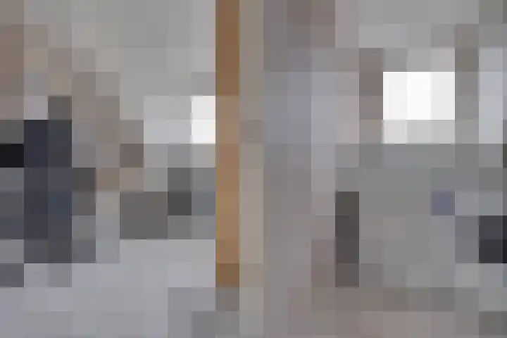 Schaapherder 7 Leusden thumbnail 22