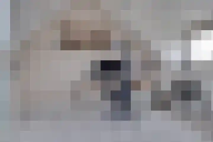 Schaapherder 7 Leusden thumbnail 23