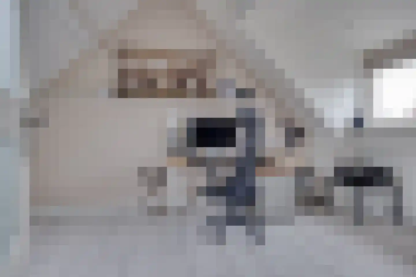 Schaapherder 7 Leusden thumbnail 24