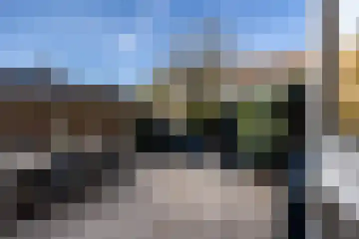 Schaapherder 7 Leusden thumbnail 26