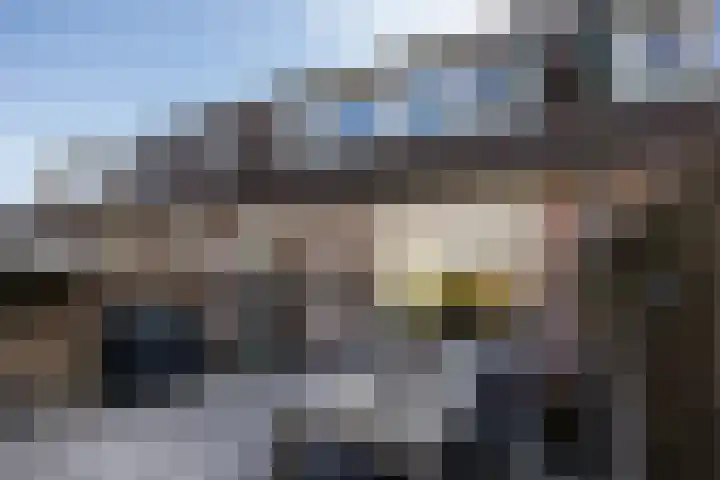 Schaapherder 7 Leusden thumbnail 29