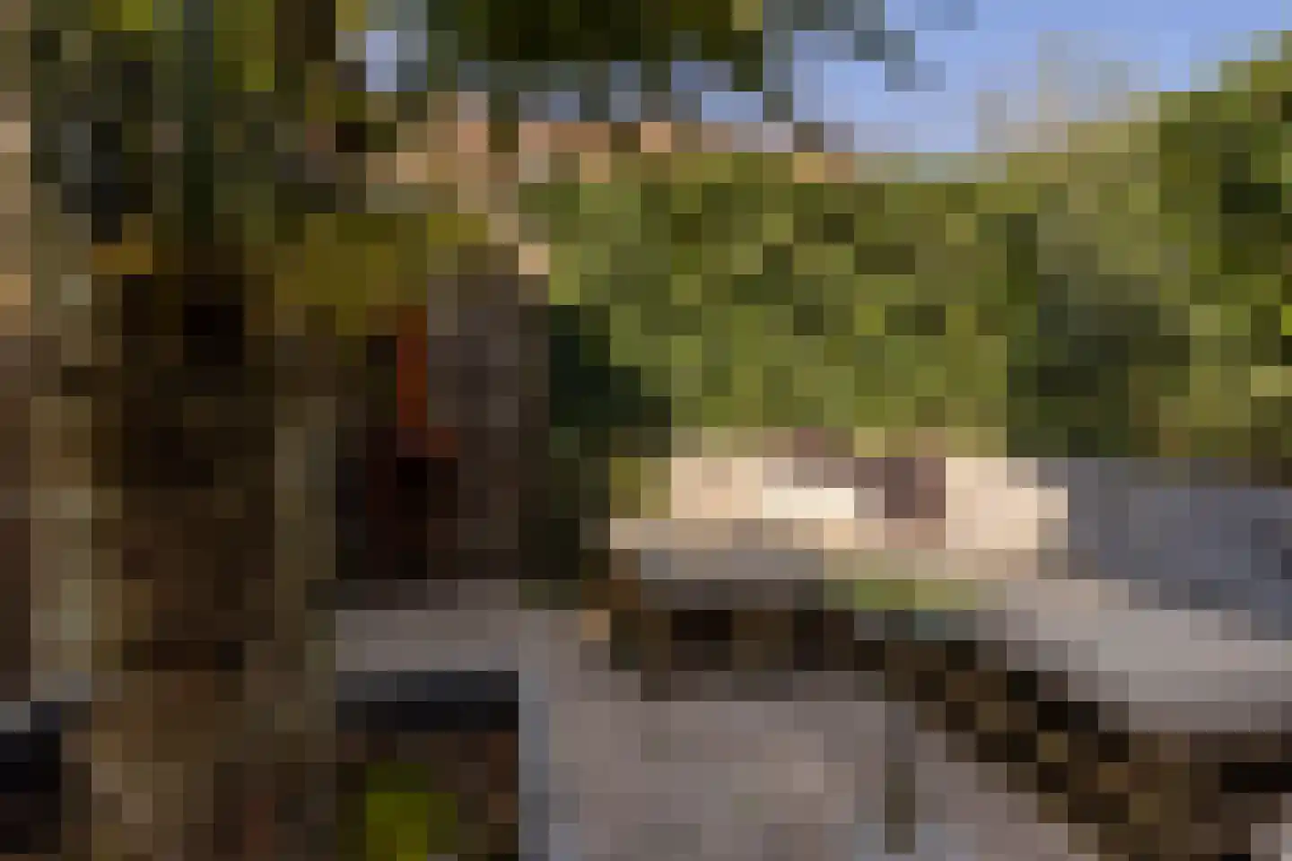 Schaapherder 7 Leusden thumbnail 29