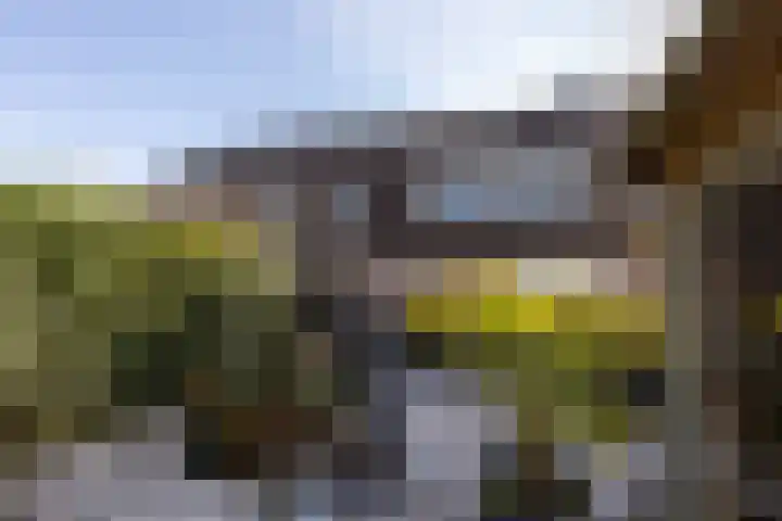 Schaapherder 7 Leusden thumbnail 31
