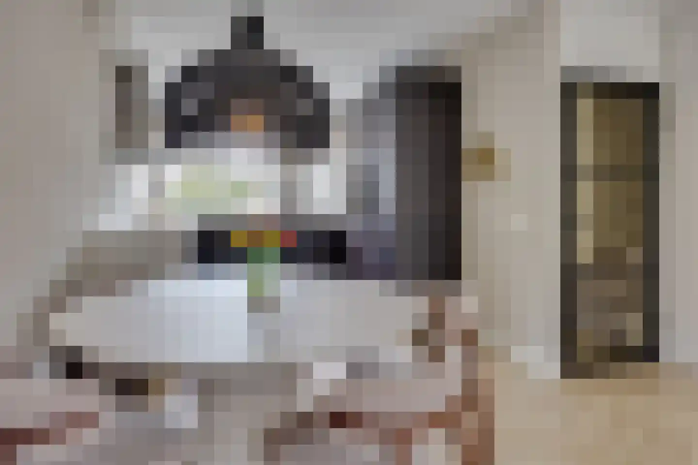 Schaapherder 7 Leusden thumbnail 8