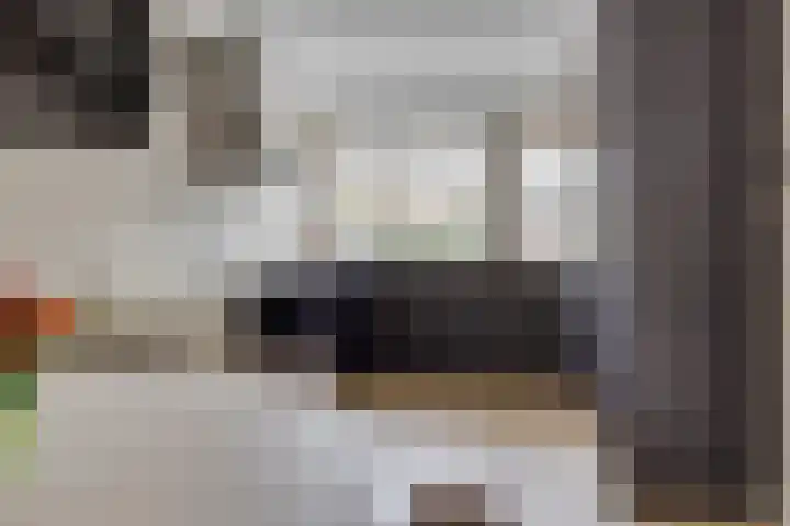 Schaapherder 7 Leusden thumbnail 8