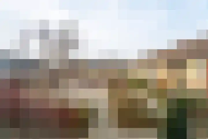 Schaapherdershoek 1 Rijnsburg thumbnail 14