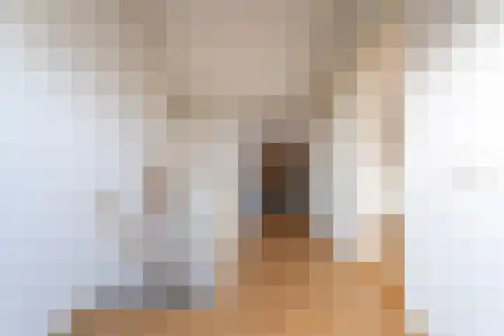 Schaapherdershoek 1 Rijnsburg thumbnail 22
