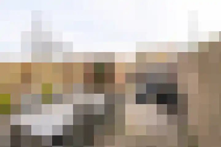 Schaapherdershoek 1 Rijnsburg thumbnail 27