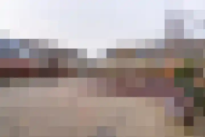 Schaapherdershoek 1 Rijnsburg thumbnail 30