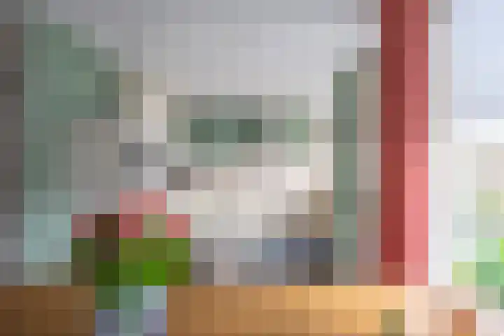Schaapherdershoek 1 Rijnsburg thumbnail 6