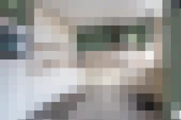 Schaapherdershoek 1 Rijnsburg thumbnail 7