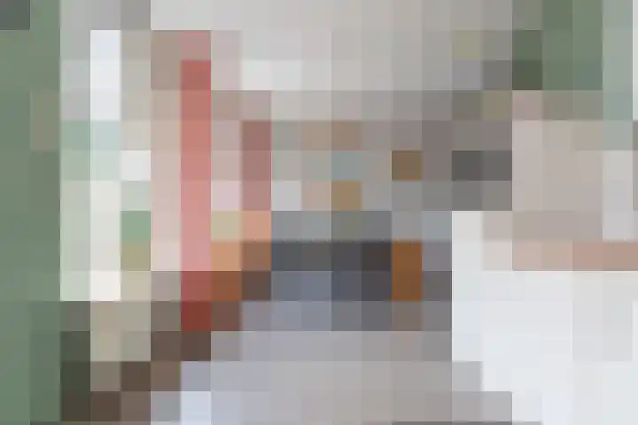 Schaapherdershoek 1 Rijnsburg thumbnail 8