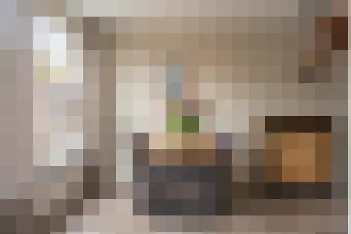 Schaapherdershoek 16 Rijnsburg thumbnail 10