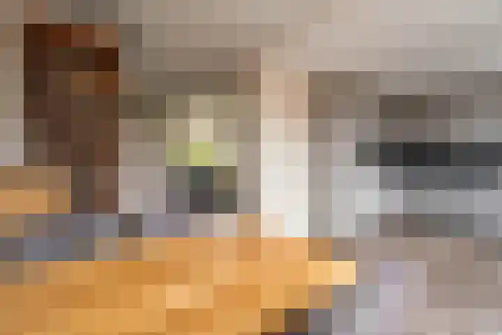 Schaapherdershoek 16 Rijnsburg thumbnail 11