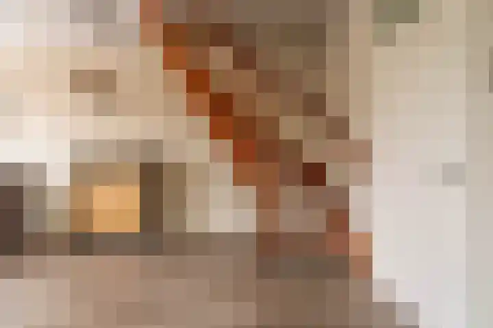 Schaapherdershoek 16 Rijnsburg thumbnail 12