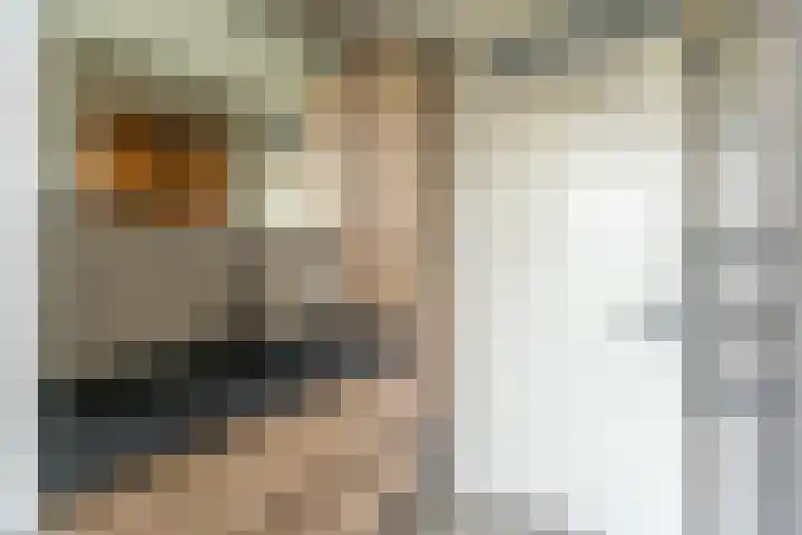 Schaapherdershoek 16 Rijnsburg thumbnail 20