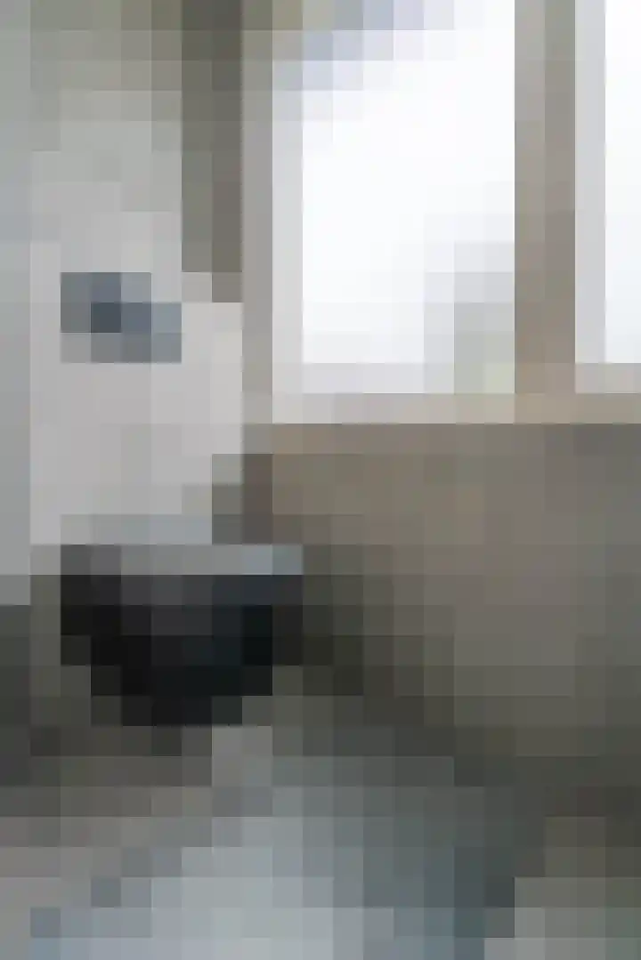 Schaapherdershoek 16 Rijnsburg thumbnail 22