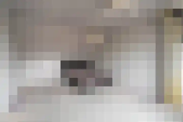 Schaapherdershoek 16 Rijnsburg thumbnail 26