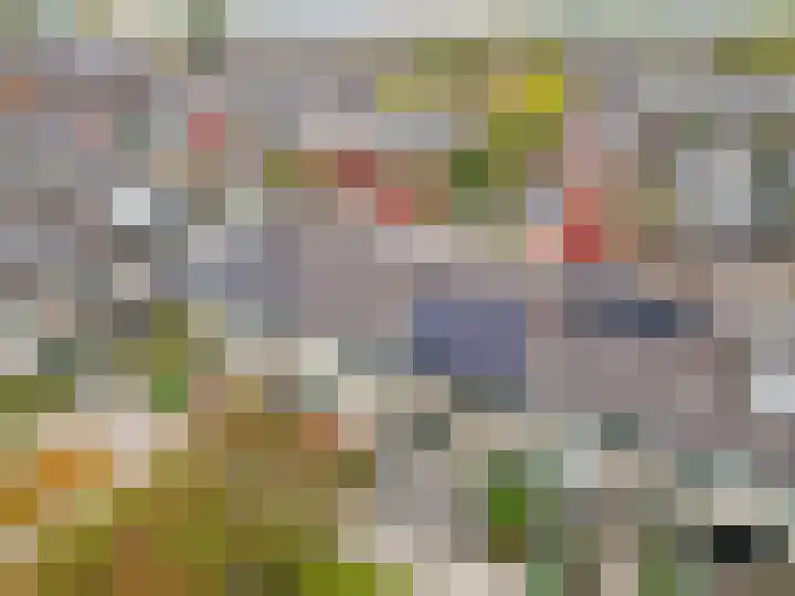 Schaapherdershoek 16 Rijnsburg thumbnail 37