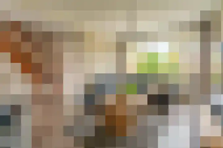 Schaapherdershoek 16 Rijnsburg thumbnail 4