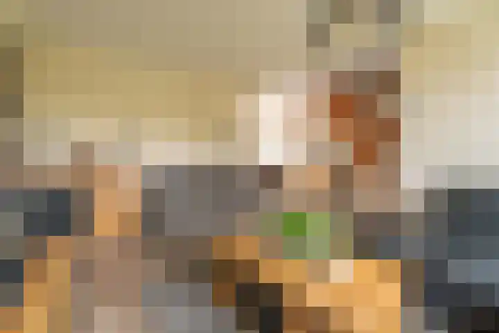 Schaapherdershoek 16 Rijnsburg thumbnail 5