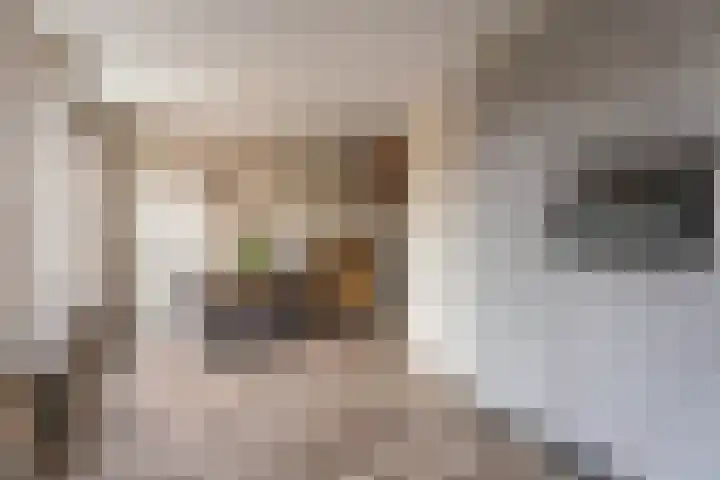 Schaapherdershoek 16 Rijnsburg thumbnail 9