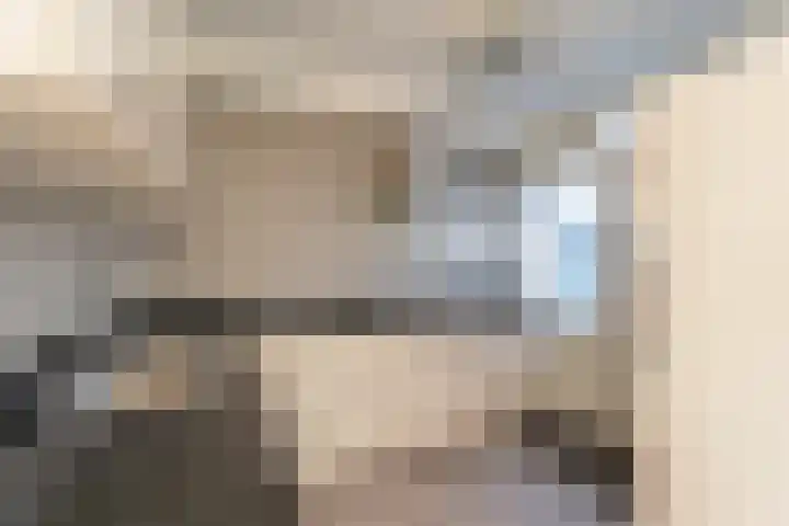 Schaapherdershoek 22 Rijnsburg thumbnail 10