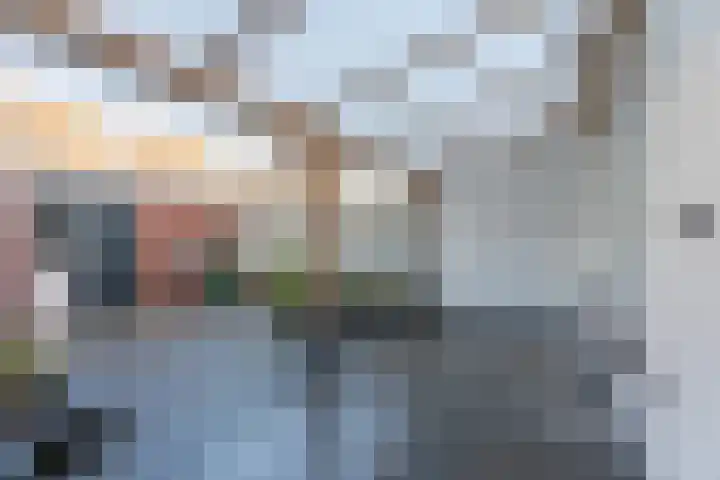 Schaapherdershoek 22 Rijnsburg thumbnail 28