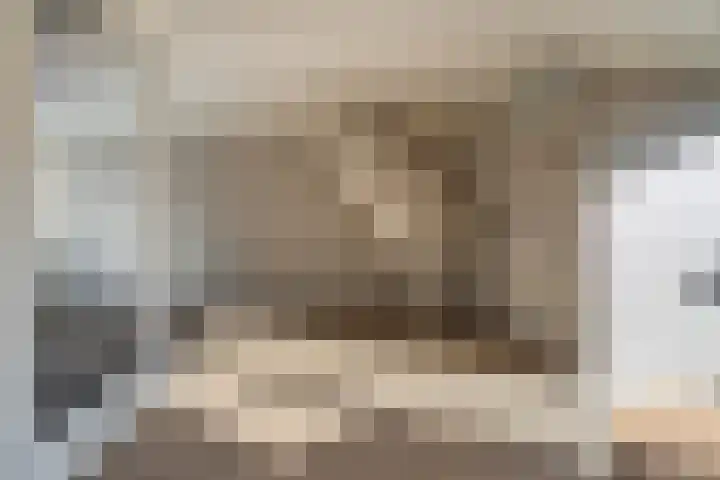 Schaapherdershoek 22 Rijnsburg thumbnail 4