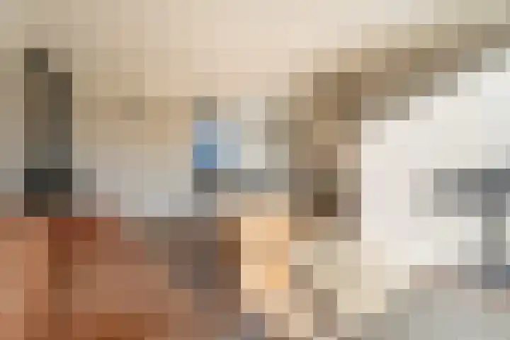 Schaapherdershoek 22 Rijnsburg thumbnail 5