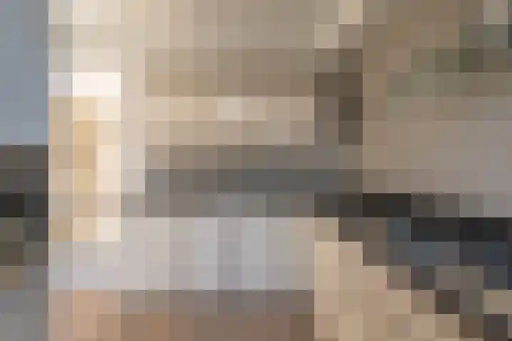 Schaapherdershoek 22 Rijnsburg thumbnail 8