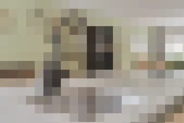 Schaapkenslaan 31 Berkel-Enschot thumbnail 14