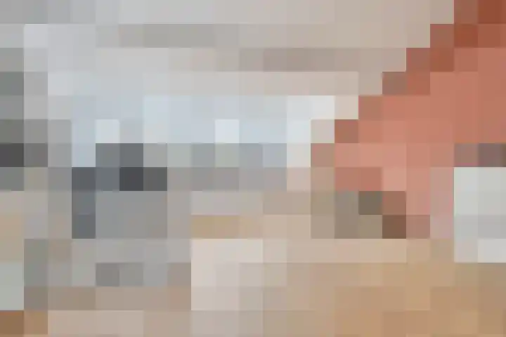 Schaapkenslaan 31 Berkel-Enschot thumbnail 33