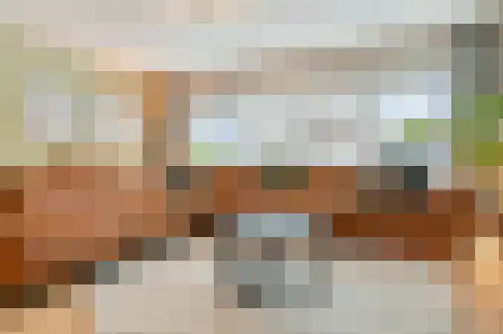 Schaapkenslaan 31 Berkel-Enschot thumbnail 4