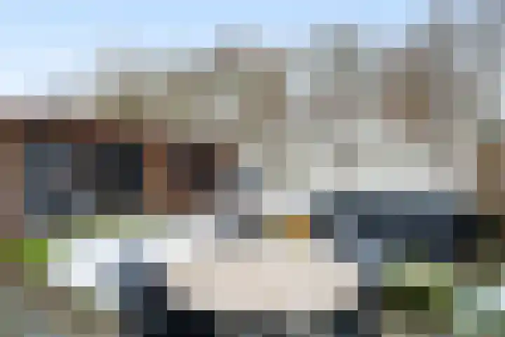Schaapkenslaan 31 Berkel-Enschot thumbnail 40
