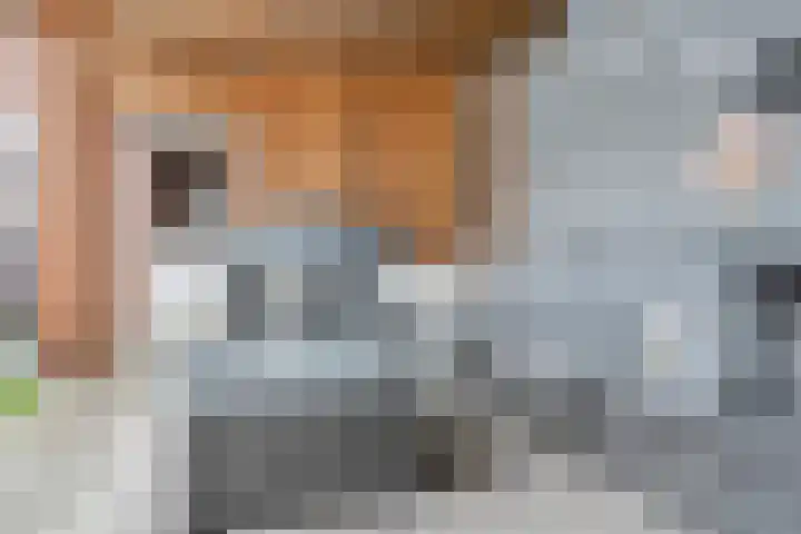 Schaapkenslaan 31 Berkel-Enschot thumbnail 42