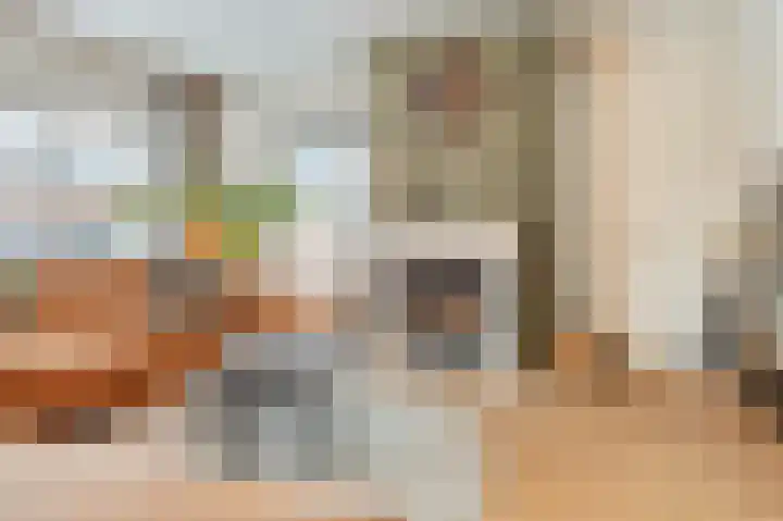 Schaapkenslaan 31 Berkel-Enschot thumbnail 6