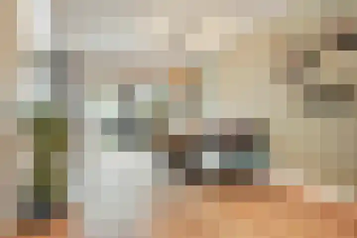 Schaapkenslaan 31 Berkel-Enschot thumbnail 8